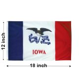 12"x18" Iowa Nylon Outdoor Flag